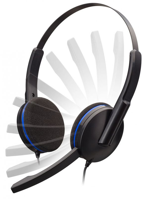 Big Ben Gaming Headset (PS4)