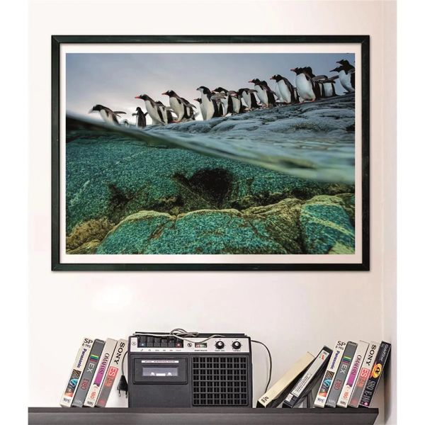 Clementoni National Geograpic Collection Penguins (1000 Brikker)